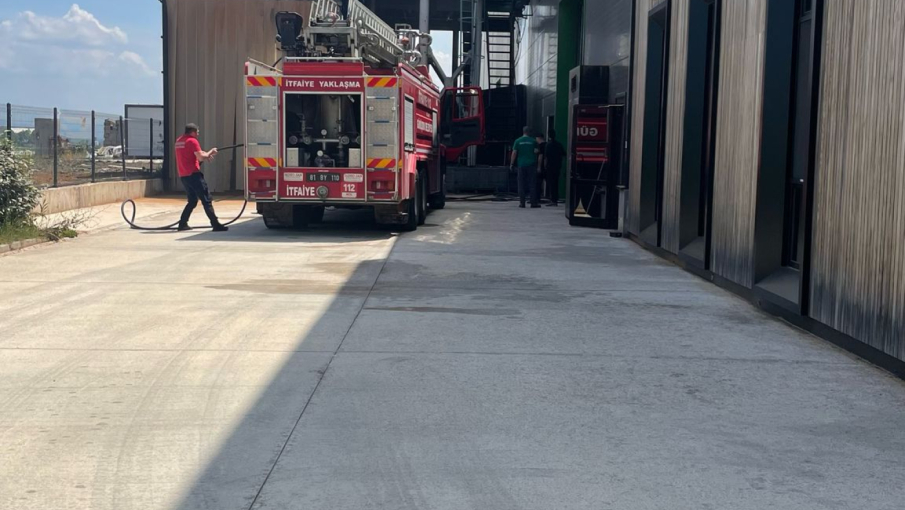 Tantimber Doğal Ahşap fabrikasında yangın